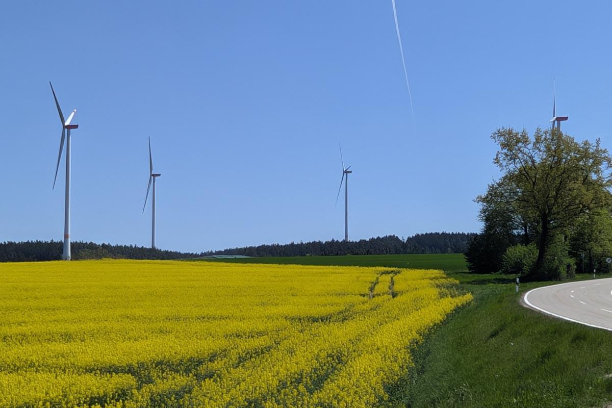 wege